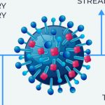 Coronavirus is not only disrupting our lives, but the whole digital adverti...