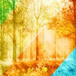 How to leverage seasonality & optimize ad revenue
