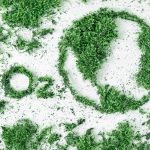 carbon emissions in digital marketing